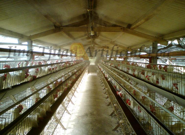 【Hen house】Cooling, Sterilizing, Deodorant